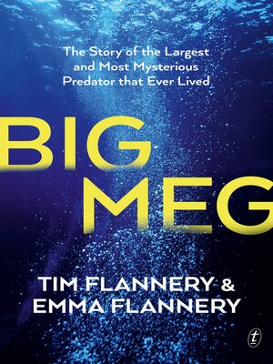 cover image of Big Meg